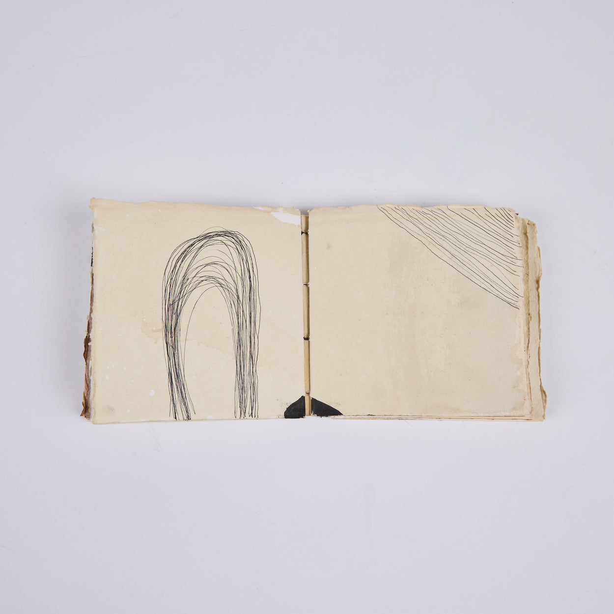 Artist's Book